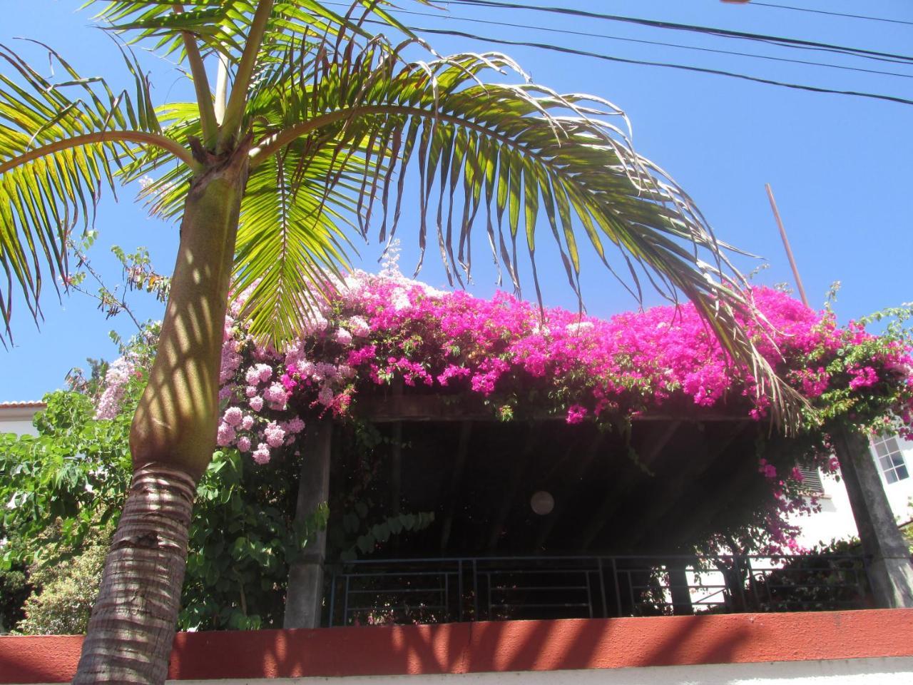 Apartments Vista Oceano Funchal  Extérieur photo